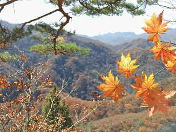 打胎药联系方式美国3年期国债中标收益率低于发行前交易水平