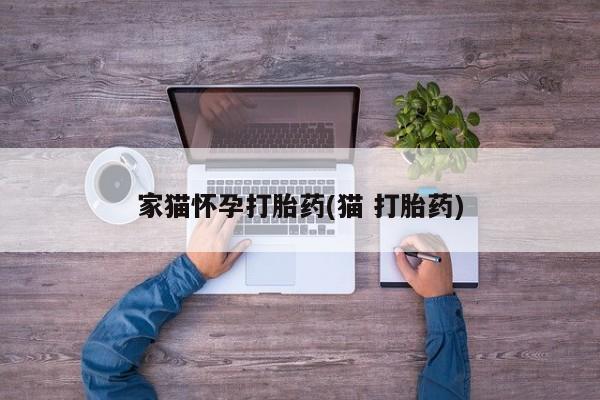 打胎药联系方式家猫怀孕打胎药(猫 打胎药)